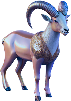 Capricorn
